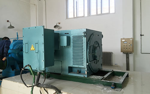 安顺某水电站工程主水泵使用我公司高压电机一年质保